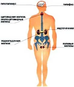 Від йоду до гормону, ви здорові (нормального функціонування щитовидної) Від йоду до гормону, ви здорові