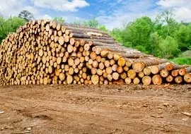 Відмінність обрізної дошки від необрізної і Необрізний, замовити обрізну дошку (відміну обрізної дошки від необрізної і Необрізний) Відмінність обрізної дошки від необрізної і Необрізний, замовити обрізну дошку
