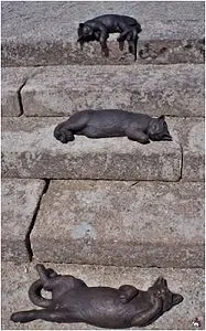 Пам'ятники кішкам, котам і кошенятам (пам'ятники кішкам котам) Пам'ятники кішкам, котам і кошенятам
