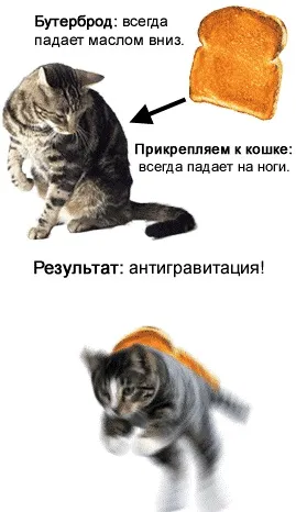 Парадокс кішки з маслом - мій маленький затишний куточок