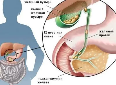 Овес для очищення організму рецепти, корисні властивості (організму) Овес для очищення організму рецепти, корисні властивості
