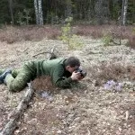 Перната башка полювання на сову, на рубежах (сова) Перната башка полювання на сову, на рубежах