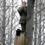 Перната башка полювання на сову, на рубежах (природа) Перната башка полювання на сову, на рубежах