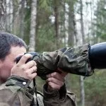 Перната башка полювання на сову, на рубежах (беларусь) Перната башка полювання на сову, на рубежах
