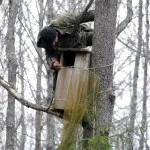 Перната башка полювання на сову, на рубежах (ліс) Перната башка полювання на сову, на рубежах