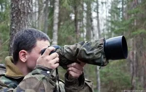 Перната башка полювання на сову, на рубежах (сова) Перната башка полювання на сову, на рубежах