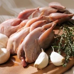 Перепелиця корисні властивості для здоров'я, food and health (перепілка) Перепелиця корисні властивості для здоров'я, food and health