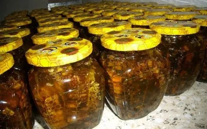 Перга в сотах самостійне витяг, вживання, зберігання