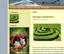 Плагін image widget для виведення потрібної статті в віджет - тестуємо шаблон