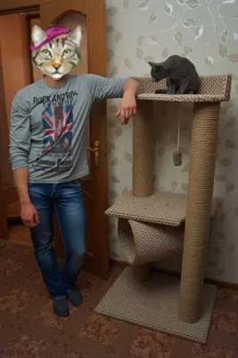 Petsstep когтеточки будиночки і ігрових комплекси для кішок в Полтавае, москві і по всейУкаіни (petsstep) Petsstep когтеточки будиночки і ігрових комплекси для кішок в Полтавае, москві і по всейУкаіни