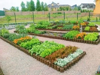 Планування городу розташування грядок, чергування культур (грядок) Планування городу розташування грядок, чергування культур