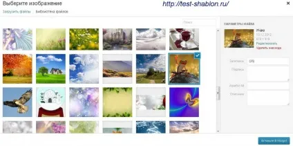 Плагін image widget для виведення потрібної статті в віджет - тестуємо шаблон