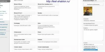 Плагін image widget для виведення потрібної статті в віджет - тестуємо шаблон