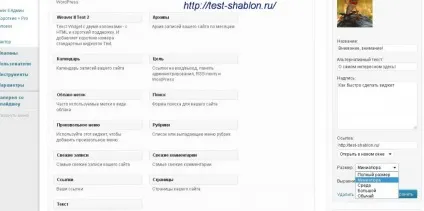 Плагін image widget для виведення потрібної статті в віджет - тестуємо шаблон