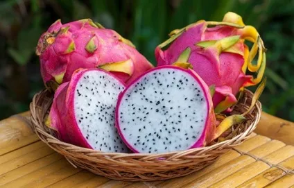 Пітахайя, dragon fruit, як їдять пітахайю, властивості пітахайї, склад пітахайї смак пітахайї, (dragon) Пітахайя, dragon fruit, як їдять пітахайю, властивості пітахайї, склад пітахайї смак пітахайї,
