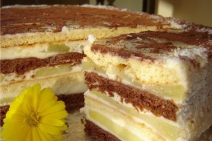 Тістечко хвилинка, незвичайне, звичайне, розумне, шотландка - прості рецепти (другою частиною суміші) Тістечко хвилинка, незвичайне, звичайне, розумне, шотландка - прості рецепти