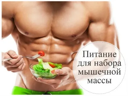 Харчування для набору м'язової маси принципи і зразкове меню (харчування) Харчування для набору м'язової маси принципи і зразкове меню