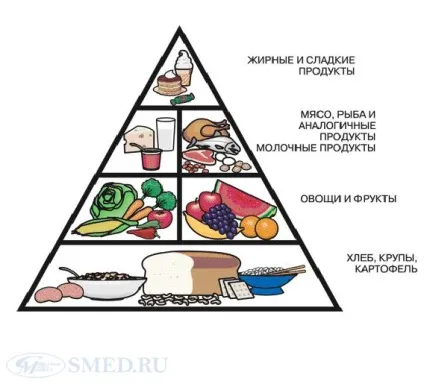 Харчова та біологічна цінність продуктів харчування (харчова і біологічна цінність продуктів харчування) Харчова та біологічна цінність продуктів харчування
