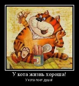 Чому кішки люблять оливки (кішки) Чому кішки люблять оливки