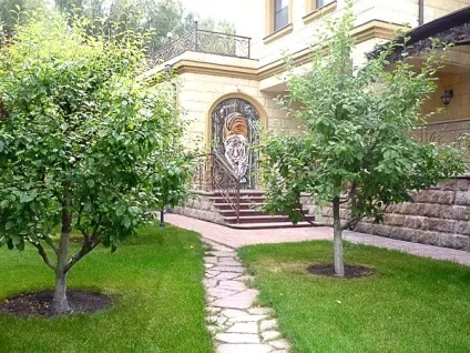 Плодовий сад - планування, закладка і догляд, фото-інструкція () Плодовий сад - планування, закладка і догляд, фото-інструкція