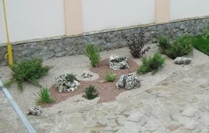 Підбір рослин для кам'янистого саду (рокария, альпінарію), я і ландшафтний дизайн (саду) Підбір рослин для кам'янистого саду (рокария, альпінарію), я і ландшафтний дизайн