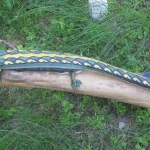 Вироби своїми руками з покришок (вироби) Вироби своїми руками з покришок