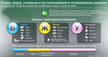 Чому ваша дієта не призведе вас до схуднення вся правда про дієти - фітнесоманія для кожного! (Ваша) Чому ваша дієта не призведе вас до схуднення вся правда про дієти - фітнесоманія для кожного!
