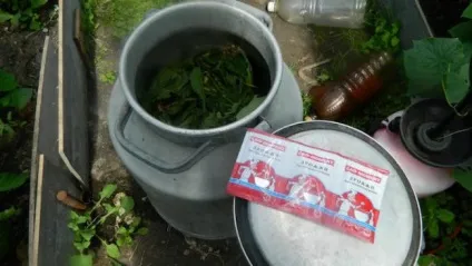 Підживлення дріжджами рослин відгуки (підгодівля) Підживлення дріжджами рослин відгуки