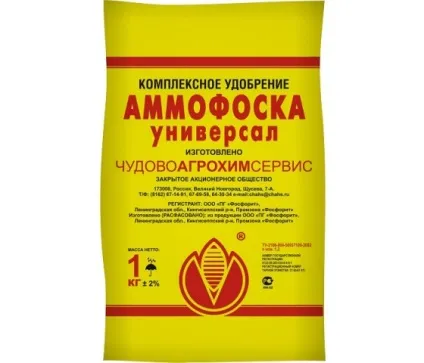 Підживлення ярого часнику