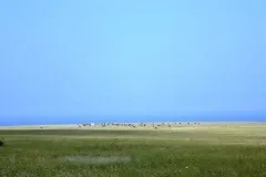 Поїздка на півострів Тарханкут - Оленівка, Джангуль, Атлеш (Тарханкут) Поїздка на півострів Тарханкут - Оленівка, Джангуль, Атлеш
