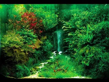 Підводний водоспад в оформленні акваріума (водоспад) Підводний водоспад в оформленні акваріума