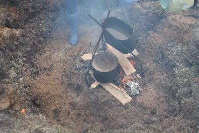 польові збори
