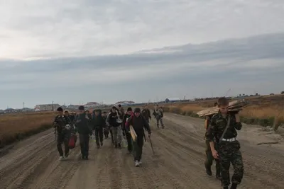 польові збори