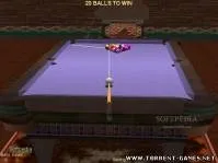 Perfect pool 3d