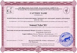 Розплідник сомалійських і абиссинских кішок somarineko