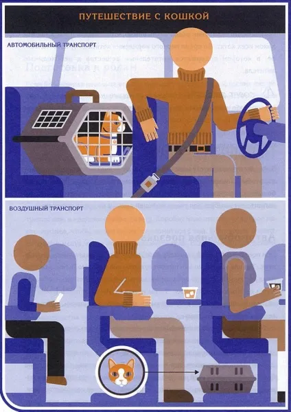Перевезення кішок