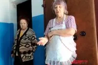 За собачим законам