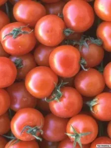 Користь помідорів, блог про правильне харчування і корисні продукти (користь помідорів) Користь помідорів, блог про правильне харчування і корисні продукти