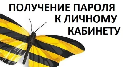 Отримання пароля для особистого кабінету билайн (особистого) Отримання пароля для особистого кабінету билайн