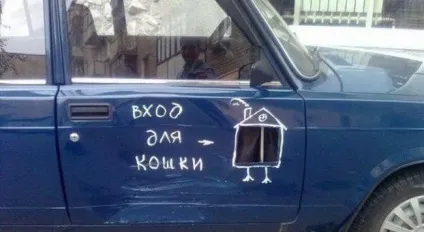 Зрозуміти і пробачити як початківці водії намагаються вижити на дорозі (19 фото) (зрозуміти і пробачити) Зрозуміти і пробачити як початківці водії намагаються вижити на дорозі (19 фото)