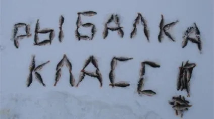 Користь від риболовлі
