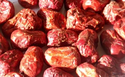 Користь зизифуса для організму (зизифуса) Користь зизифуса для організму