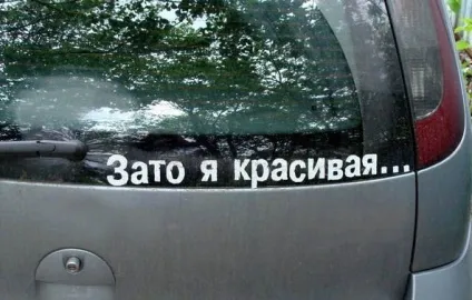 Зрозуміти і пробачити як початківці водії намагаються вижити на дорозі (19 фото) (водії-початківці намагаються) Зрозуміти і пробачити як початківці водії намагаються вижити на дорозі (19 фото)