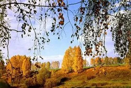 Прислів'я та приказки про осінь, діти і внуки