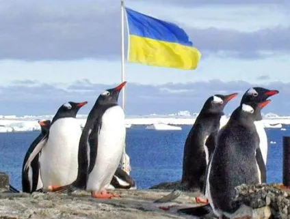 за поняттями
