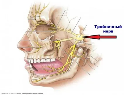 Після видалення нерва болить зуб причини і способи лікування (болить) Після видалення нерва болить зуб причини і способи лікування
