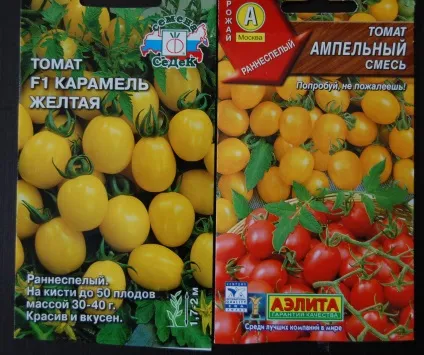 Помідори черрі вирощування в теплиці поради дачника (вирощування) Помідори черрі вирощування в теплиці поради дачника