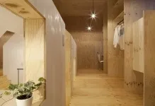 Стеля з фанери чим обробити і яка товщина, своїми руками фото, підшивка і оздоблення, ніж (своїми) Стеля з фанери чим обробити і яка товщина, своїми руками фото, підшивка і оздоблення, ніж
