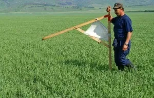 Правовстановлюючі документи на земельні ділянки безстрокового постійного користування нормативні