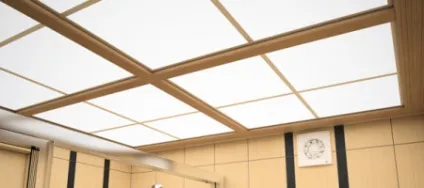 Стеля з полікарбонату